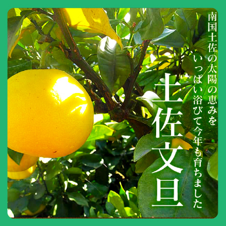 【ふるさと納税と確定申告の関係】年末調整は済んだのに確定申告が必要な場合がある!?確認方法と申告の流れをご紹介